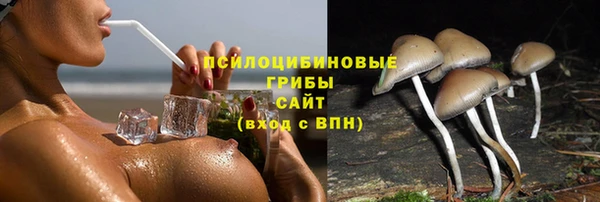apvp Липки